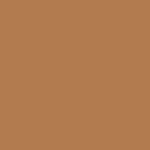 Tan Brown Colour Swatch