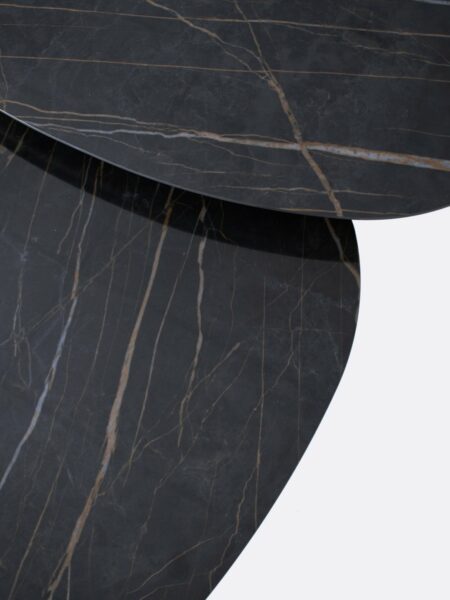 Black and Brown Marble Texture