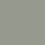 Olive Grey Colour Swatch